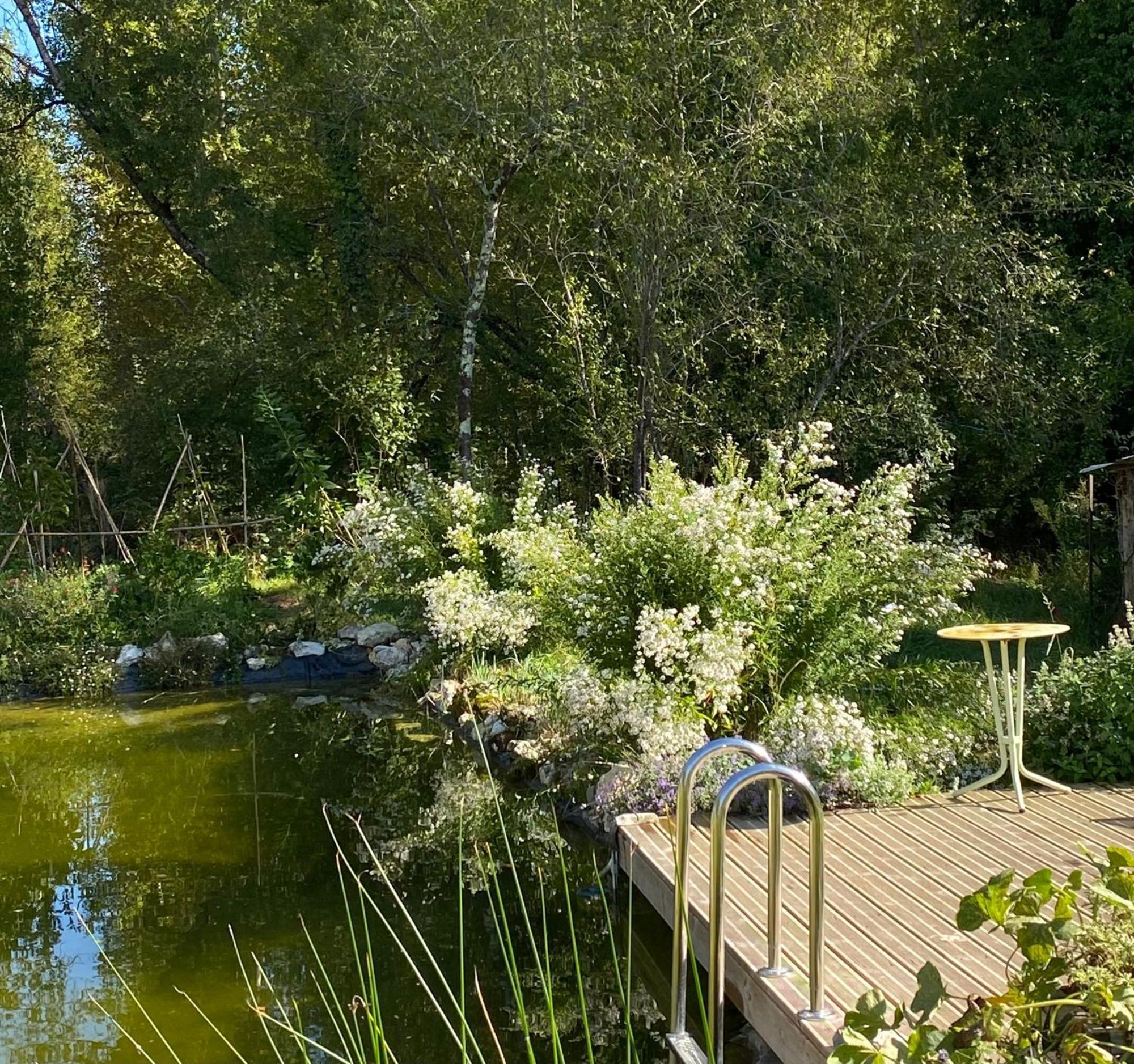 Le Moulin Scalagrand Bed & Breakfast Mazieres  Luaran gambar